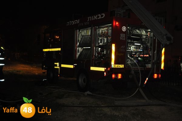 ramlainfejar315 (2).JPG